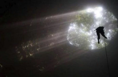 微信截图_20180409094650