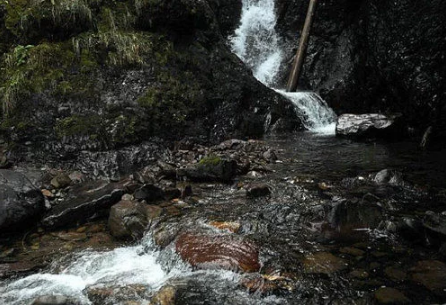 微信截图_20180409094657