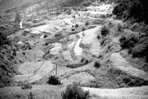 微信截图_20200515141147