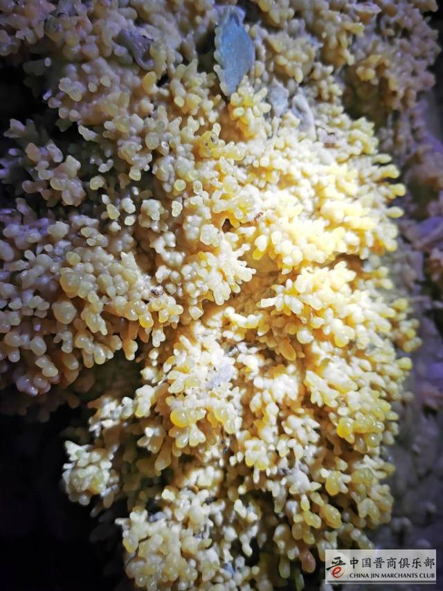 微信图片_20201007113927