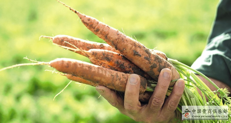 微信图片_20201111111104