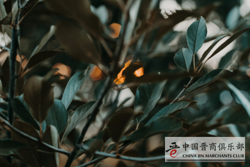 微信图片_20210113133800