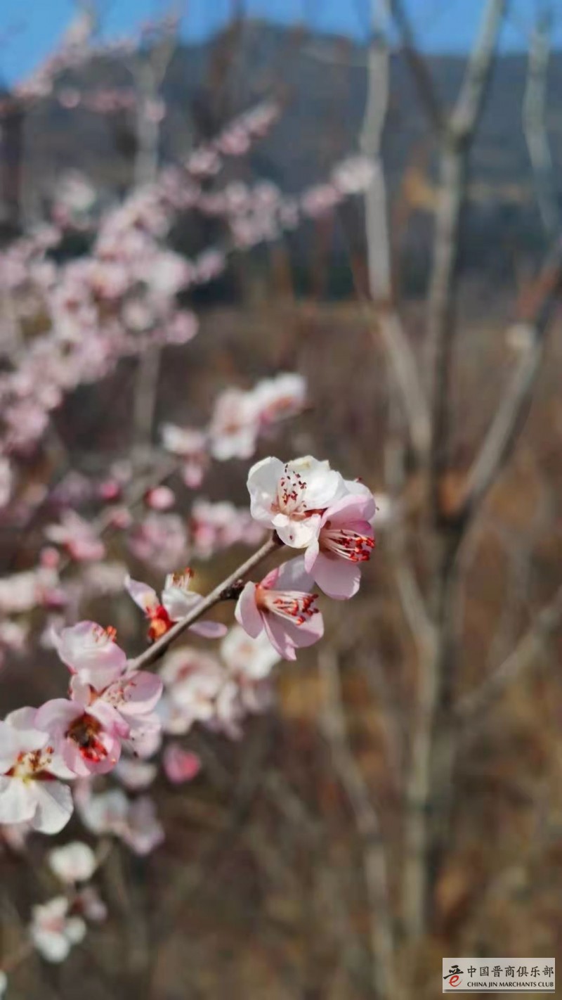 微信图片_20210315175740