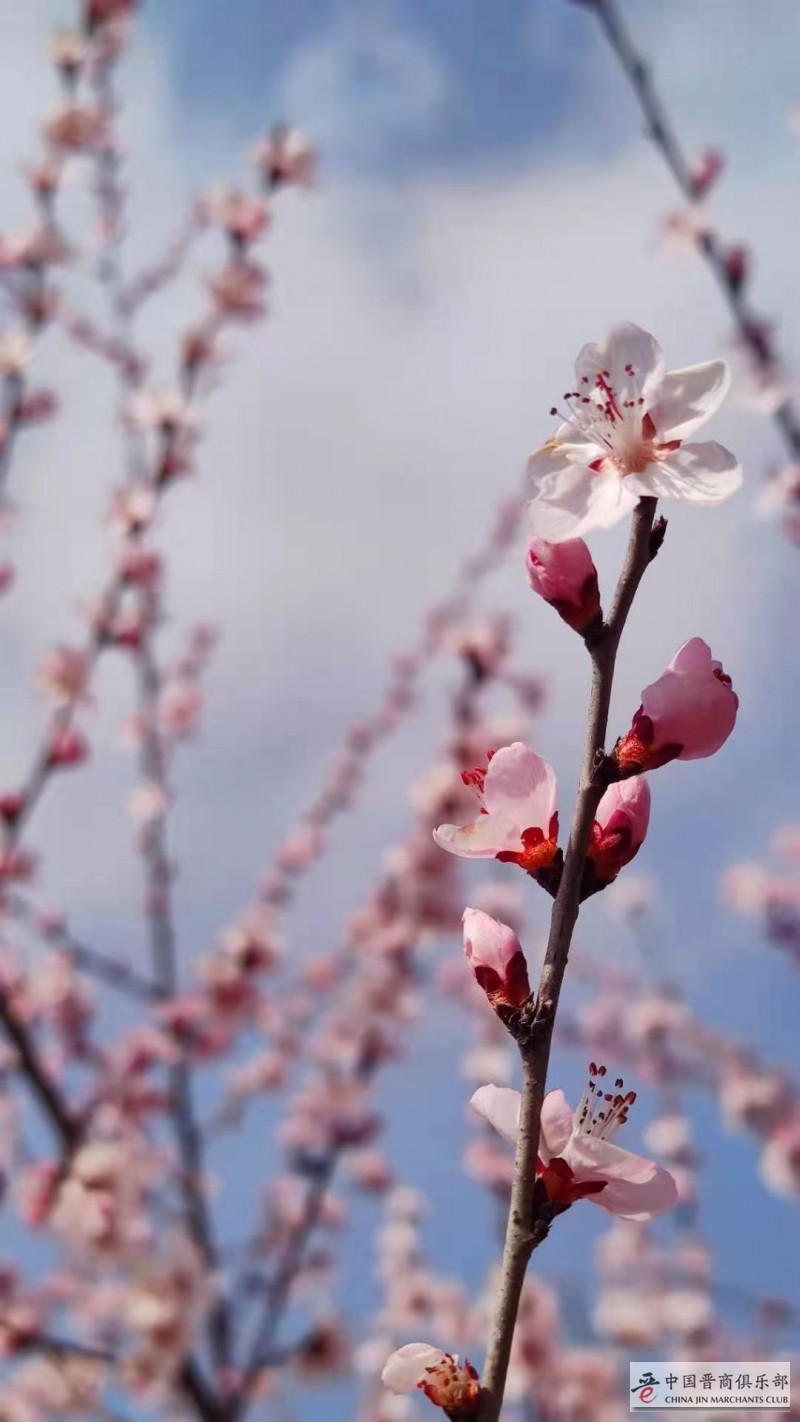 微信图片_20210315175744