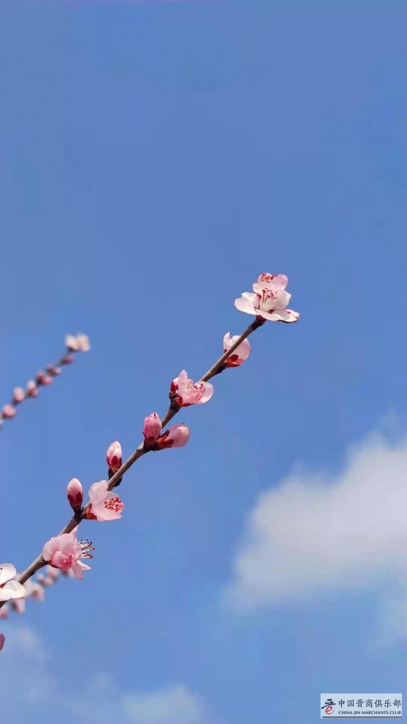 微信图片_20210315175753