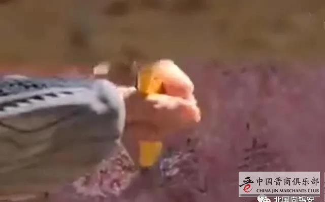 微信图片_20210329150744