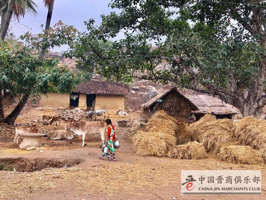 印度缺少这3个人!刚刚,天降神罚!莫迪将输掉牺牲百万的国运之战!