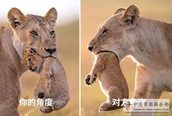 成年人最顶级的自律,是不争对错