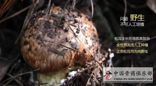 微信图片_20210520144541