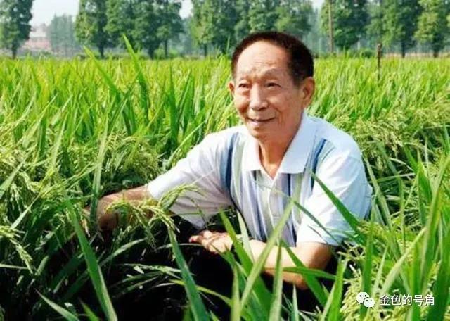 袁隆平:没有华主席,哪有我今天?