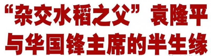 袁隆平:没有华主席,哪有我今天?