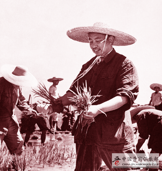 袁隆平:没有华主席,哪有我今天?