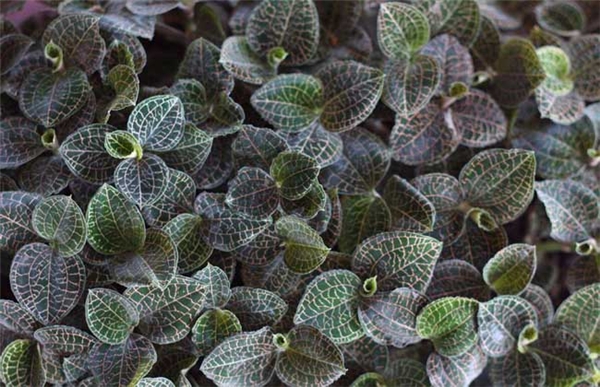 微信图片_20210528103537