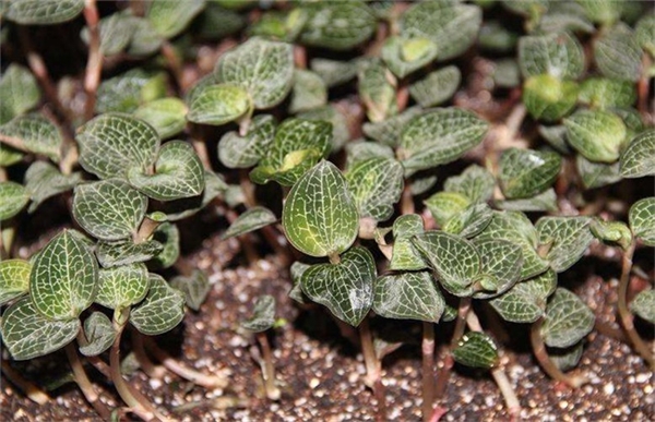 微信图片_20210528103541