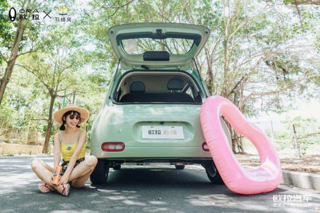 奇瑞小蚂蚁为何败给欧拉白猫？原因是它忽略了这几点