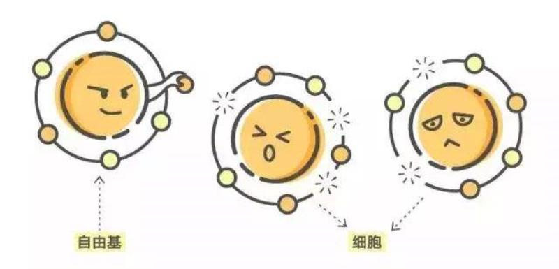 1622450651043_html_m7da8a28c