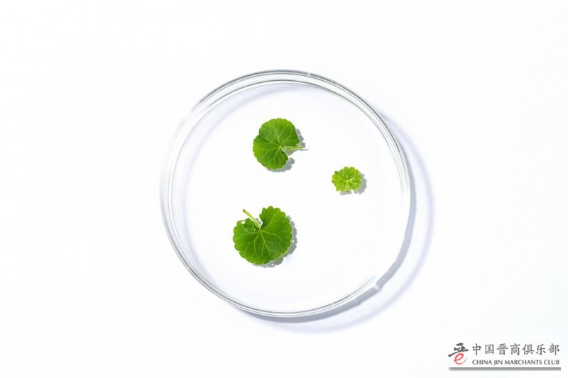 图片2.jpg 618如何实现“无刺激”护肤?“伯贤同款”媞乐媞乐给出正确解答