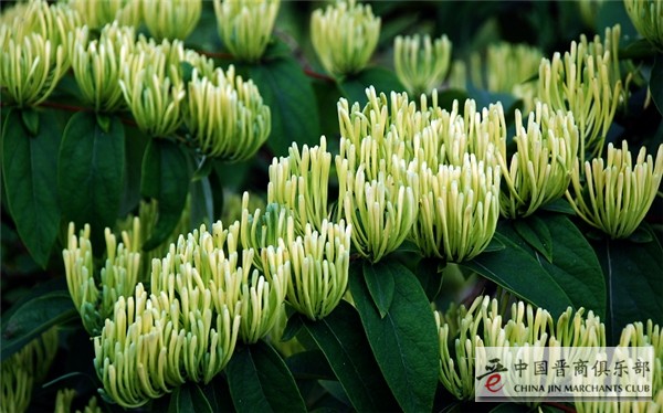 微信图片_20210609171034