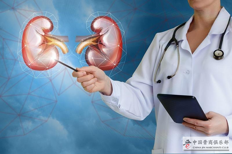信心康乐NMN有利于修复肾损伤，行业发展潜力再次被证实！
