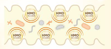 什么奶粉好啊?合生元HMO奶粉用实力见证宝宝全方面健康成长