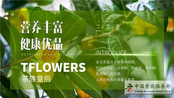 三花集与你分享个人创业平台，可做副业赚钱！