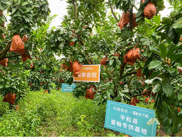 934ce3a08ab748e49b68de4a728caebe~tplv-tt-shrink_640_0