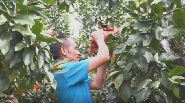 ef2d934f4b5c4dc4bc243198d35ca31b~tplv-tt-shrink_640_0