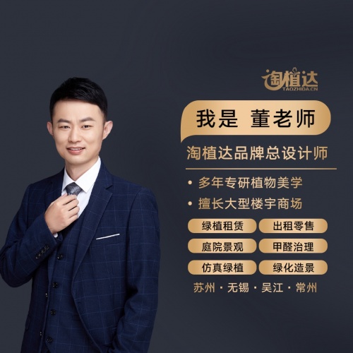 苏州绿植租赁无锡绿植租赁哪家好？绿植租摆行业品牌淘植达