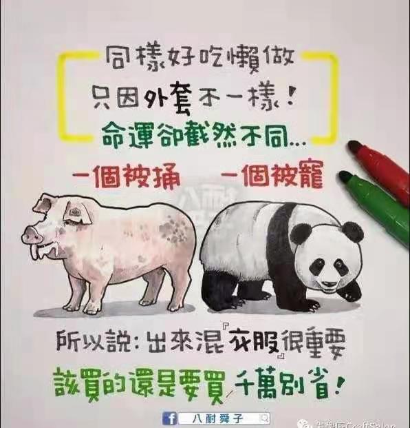 这10副漫画 你一定要看