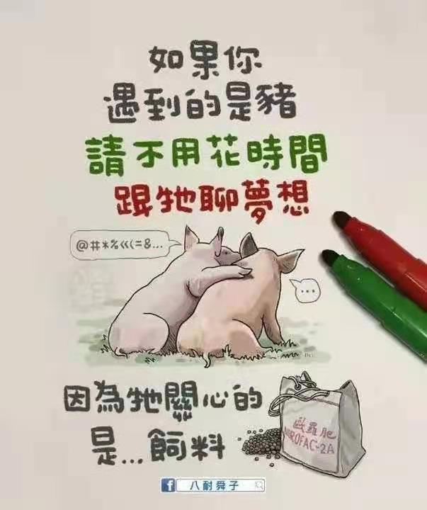 这10副漫画 你一定要看