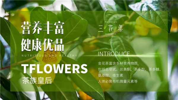 2021111510411320.002