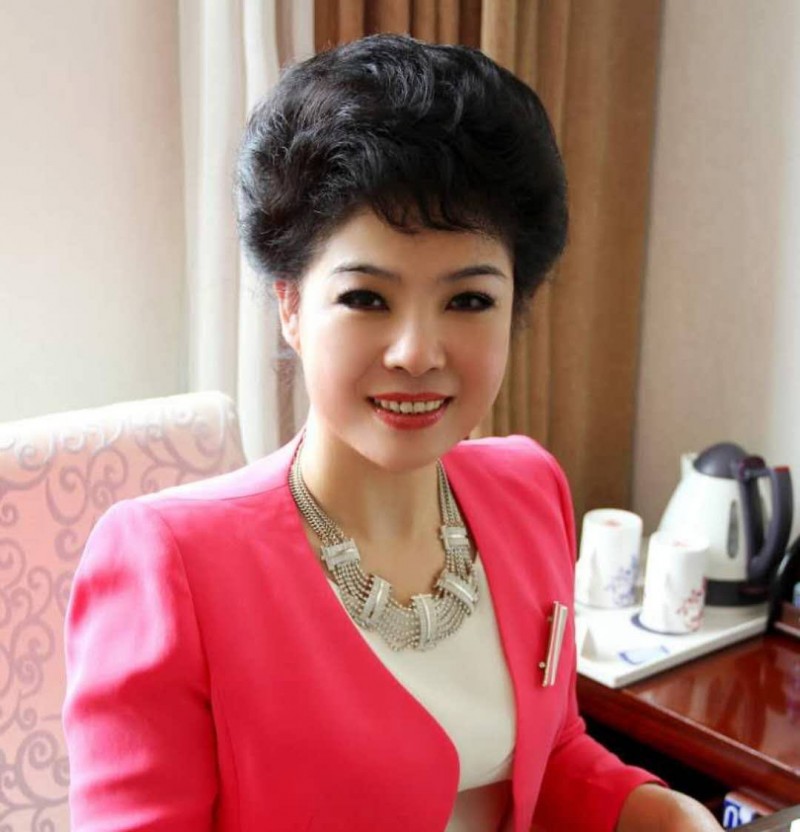 孙淑慧 太原德尔美客维尔怡弘医疗美容门诊部有限公司 董事长