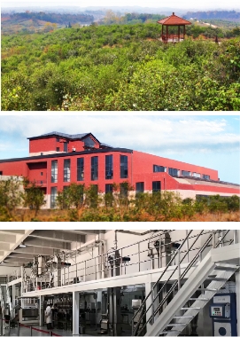 2021113009432080.002