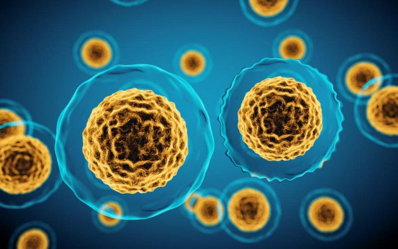 1641525187370_html_m387e7c1c