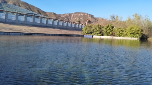 龙形鞭杆张燕军