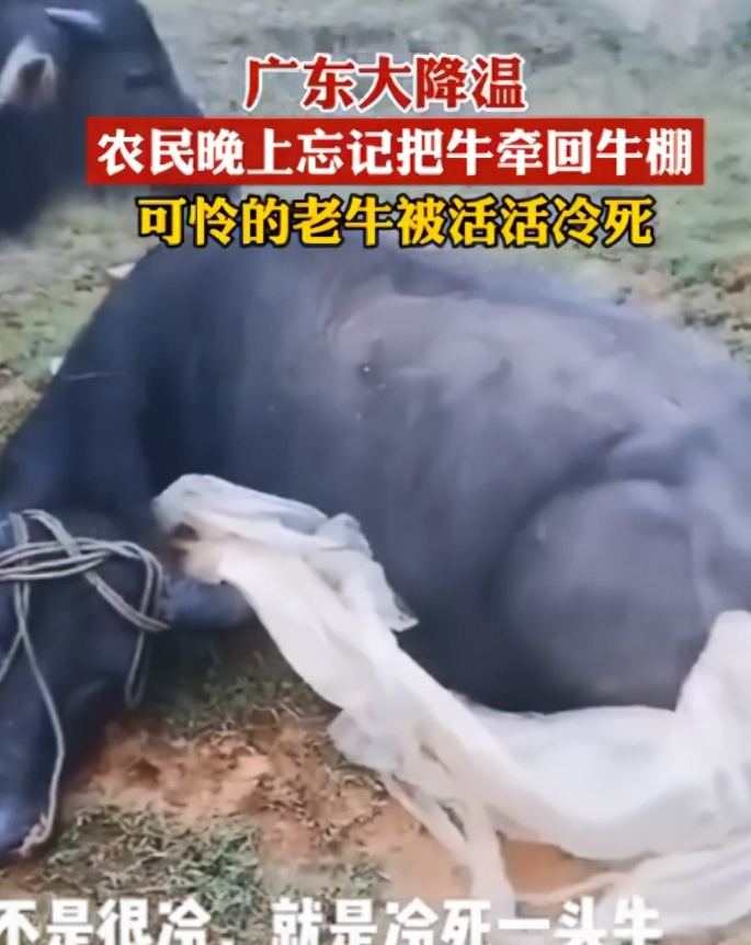 685x862_a1abc6c4.png_