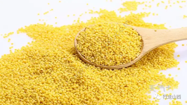 一座酒仙庙 半部黄酒史(节选)