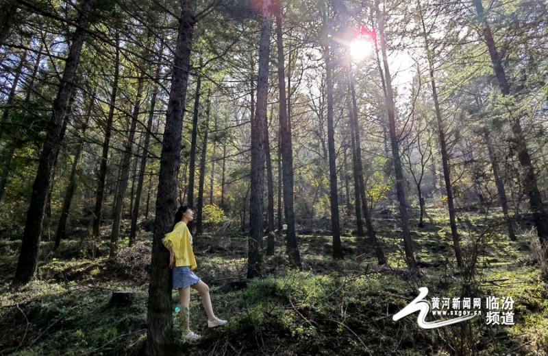 微信图片_20220426083942