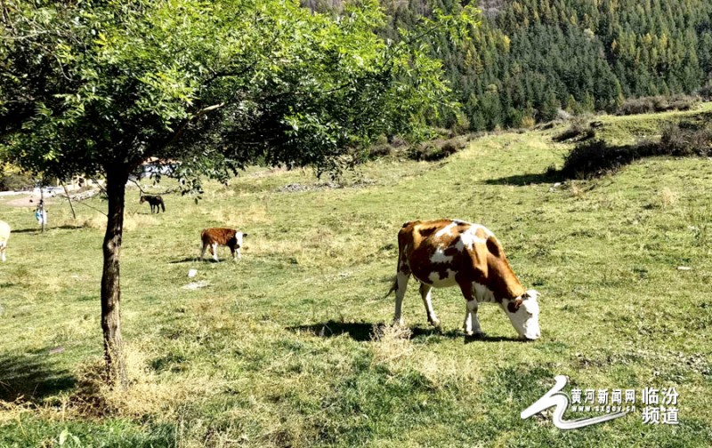 微信图片_20220426083947