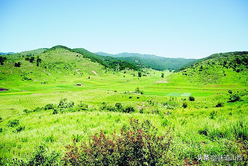 微信图片_20220426085847