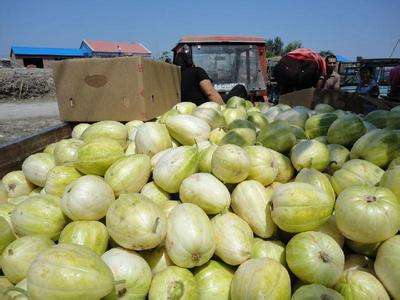 微信图片_20220502214007