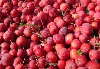 微信图片_20220502215507