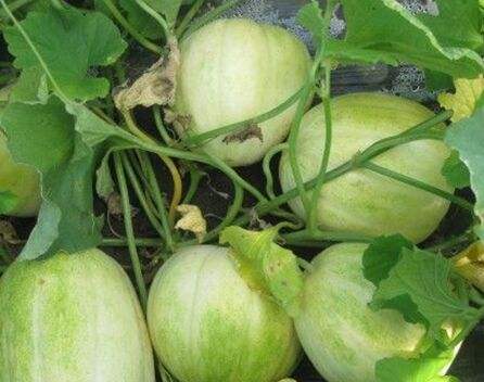 微信图片_20220502215829