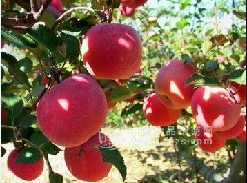 微信图片_20220502220911