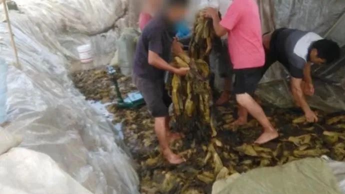 微信图片_20220506211345