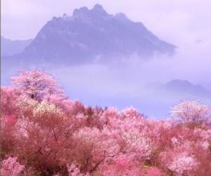 ɽҵ̻᳤ڳظ񿼲