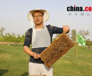 中华网山西专访太原晋源区晋蜂蜂业有限公司总经理周涛