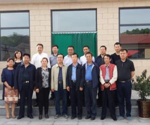 ӱɽ̻֯¸ɽп쳣񸱻᳤ҵ"ɽӴҵ"