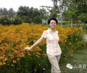 ɽĸ 2015ɽĿ״ԪҵӲǿκο⸨