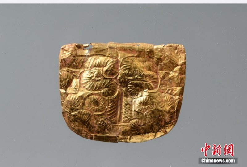 微信图片_20220514194709